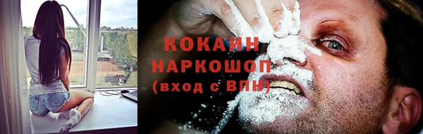 PSILOCYBIN Заводоуковск