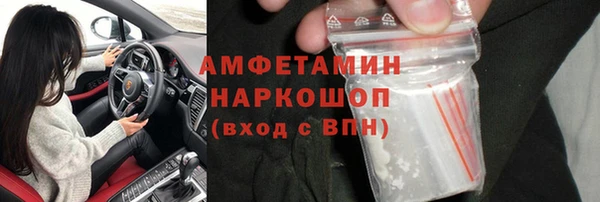 PSILOCYBIN Заводоуковск