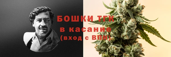 PSILOCYBIN Заводоуковск