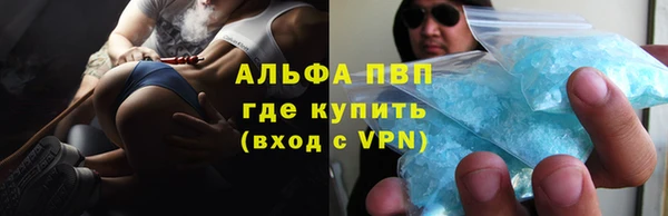 PSILOCYBIN Заводоуковск