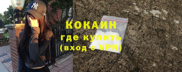 PSILOCYBIN Заводоуковск