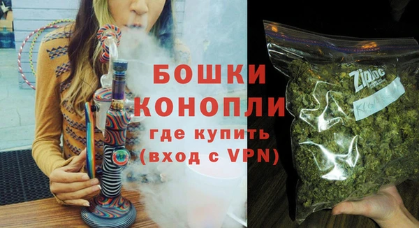 PSILOCYBIN Заводоуковск