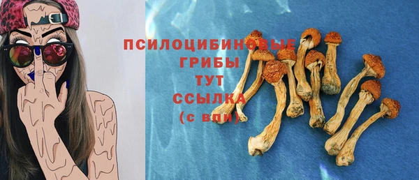 PSILOCYBIN Заводоуковск