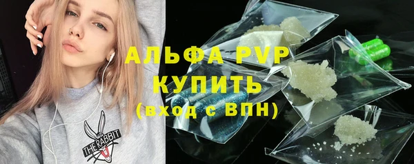 PSILOCYBIN Заводоуковск