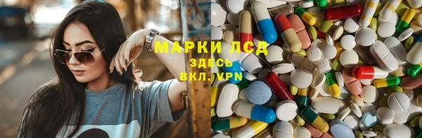 PSILOCYBIN Заводоуковск